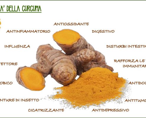 Farmacia Roma Est Curcuma