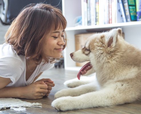 farmacia veterinaria specializzata
